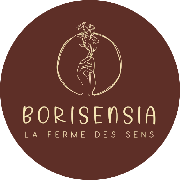 logo de Borisensia
